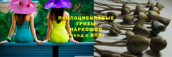 шишки Наволоки