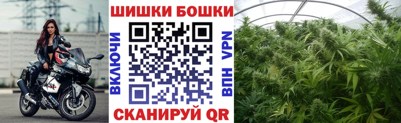 omg как войти  Мензелинск  Шишки марихуана AK-47 
